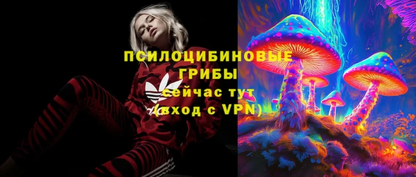 2c-b Лагань