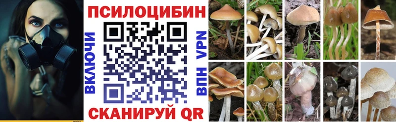 Псилоцибиновые грибы мицелий  кракен зеркало  Нелидово  магазин продажи  